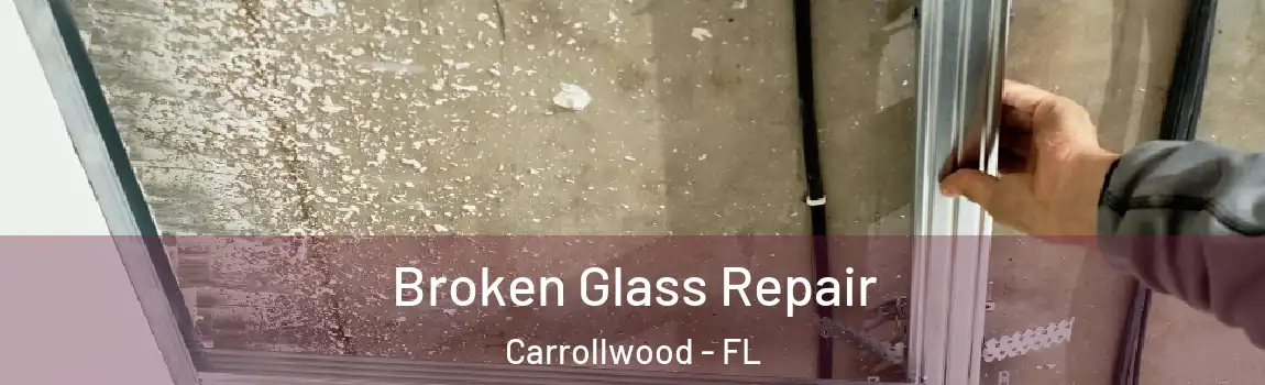  Broken Glass Repair Carrollwood - FL