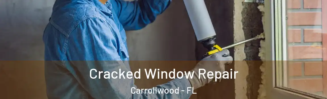  Cracked Window Repair Carrollwood - FL