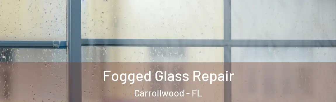 Fogged Glass Repair Carrollwood - FL