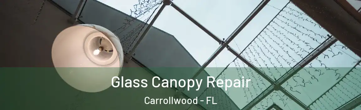  Glass Canopy Repair Carrollwood - FL