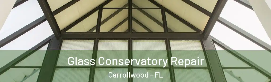  Glass Conservatory Repair Carrollwood - FL