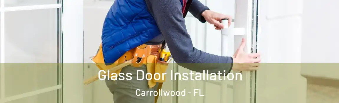  Glass Door Installation Carrollwood - FL