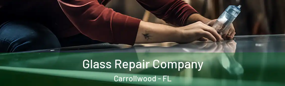 Glass Repair Company Carrollwood - FL