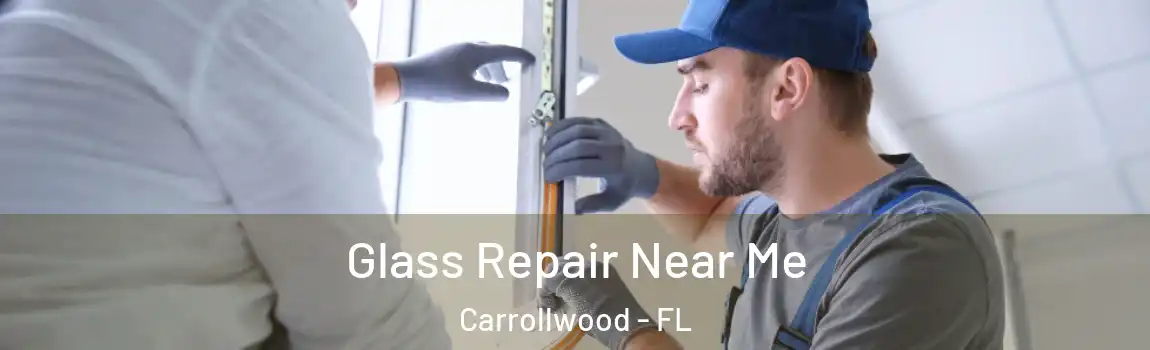 Glass Repair Near Me Carrollwood - FL