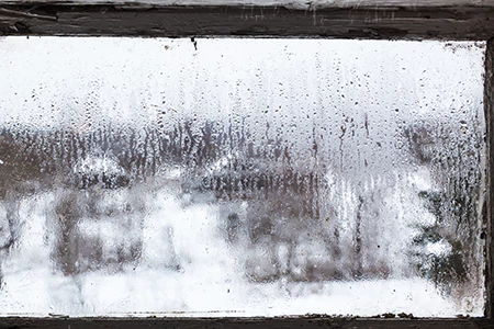 Defogging Double Pane Windows in Carrollwood, FL