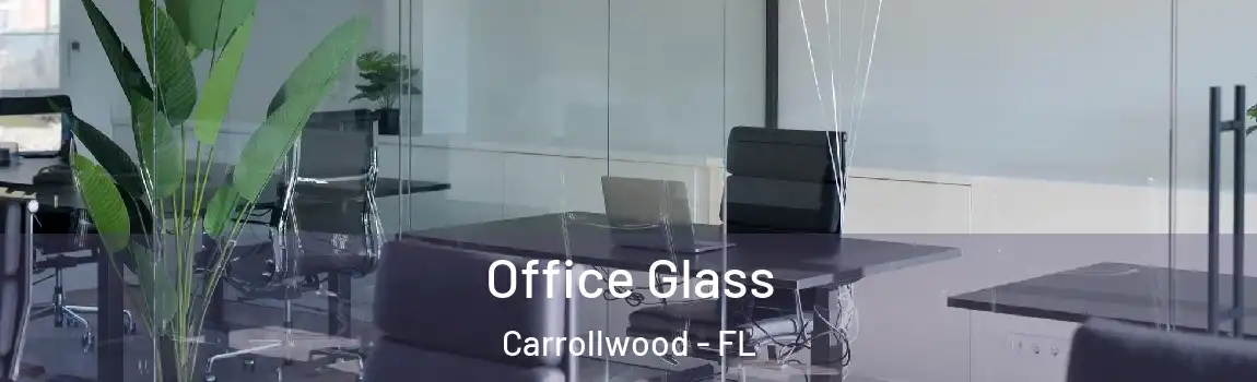  Office Glass Carrollwood - FL