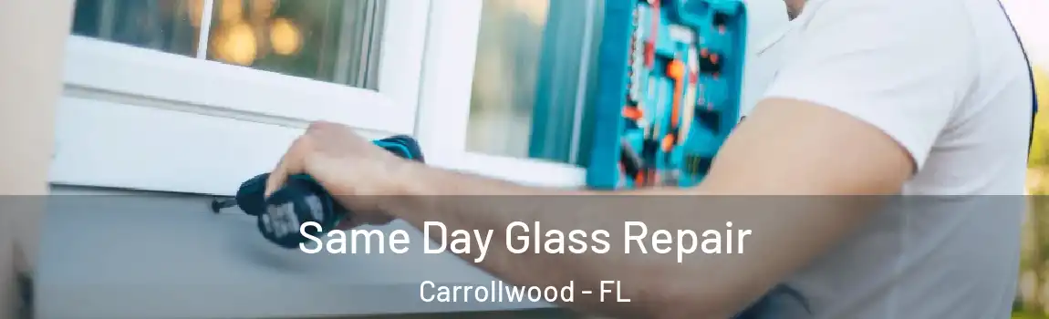 Same Day Glass Repair Carrollwood - FL