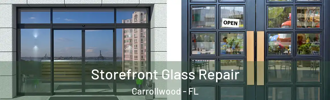 Storefront Glass Repair Carrollwood - FL