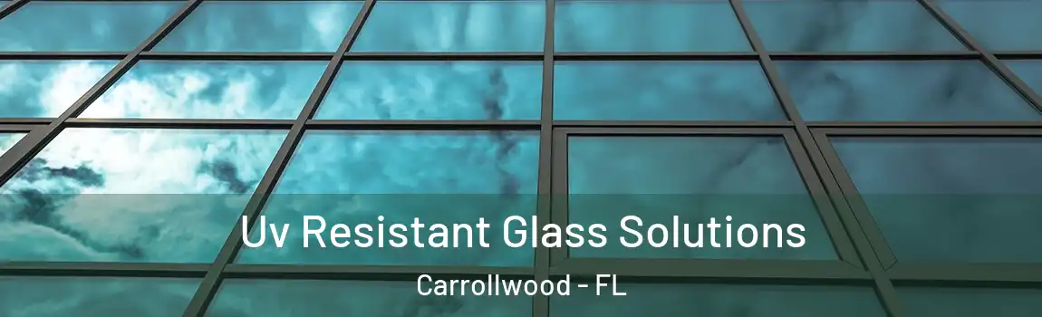 Uv Resistant Glass Solutions Carrollwood - FL