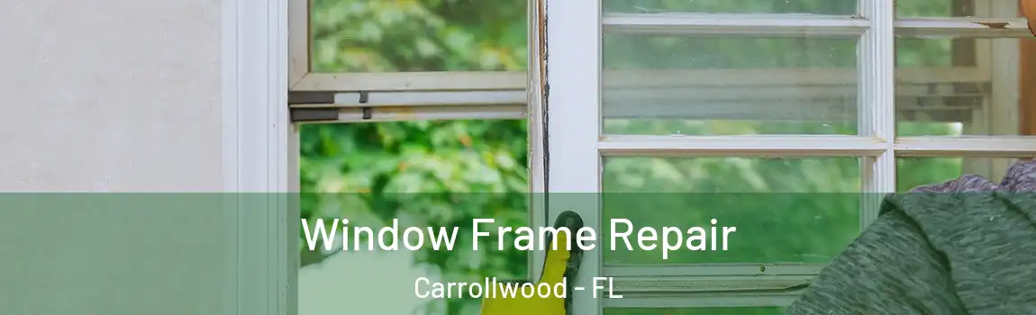 Window Frame Repair Carrollwood - FL
