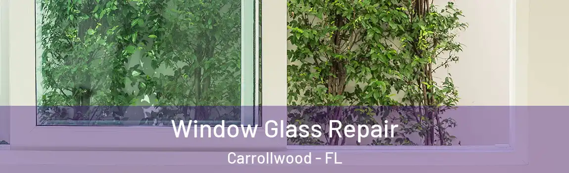Window Glass Repair Carrollwood - FL