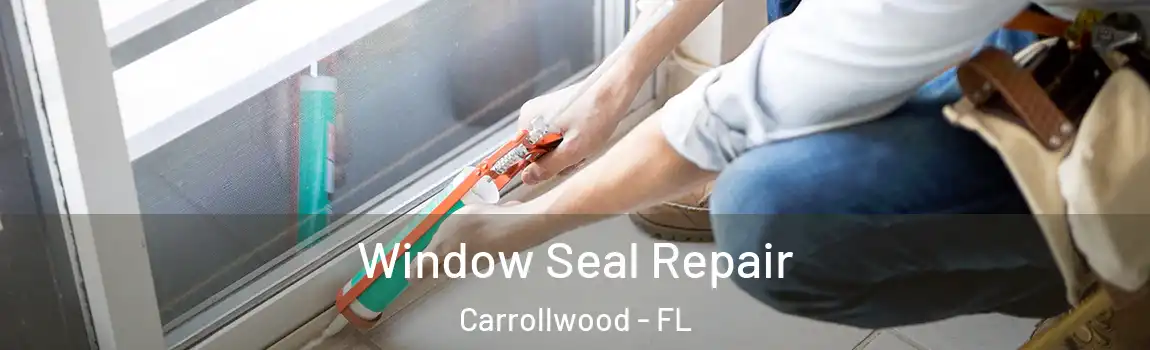 Window Seal Repair Carrollwood - FL